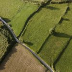 Errors in cadastral numbers do not prevent the registration of a public easement: Yuri Sbitnev, Partner at Exora Law Firm, on the position of the Federal Service for State Registration, Cadastral Records and Cartography